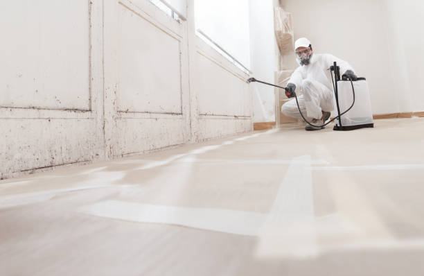 24/7 Emergency Commercial Mold Remediation experts in Rapidan, VA