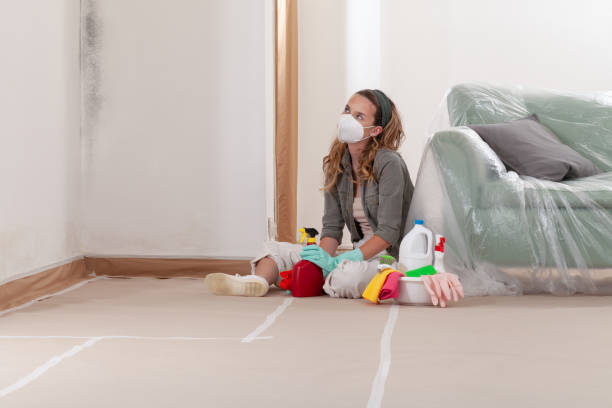 Reliable Commercial Mold Remediation contractor in Rapidan, VA by WQB Mold Removal